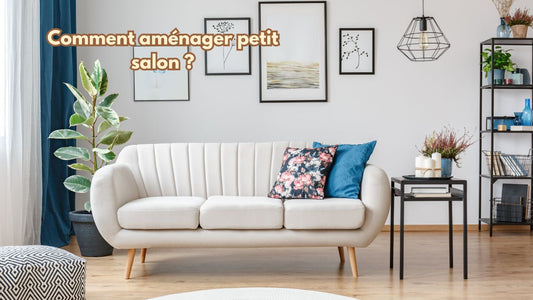 Comment aménager petit salon
