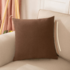 Coussin canapé