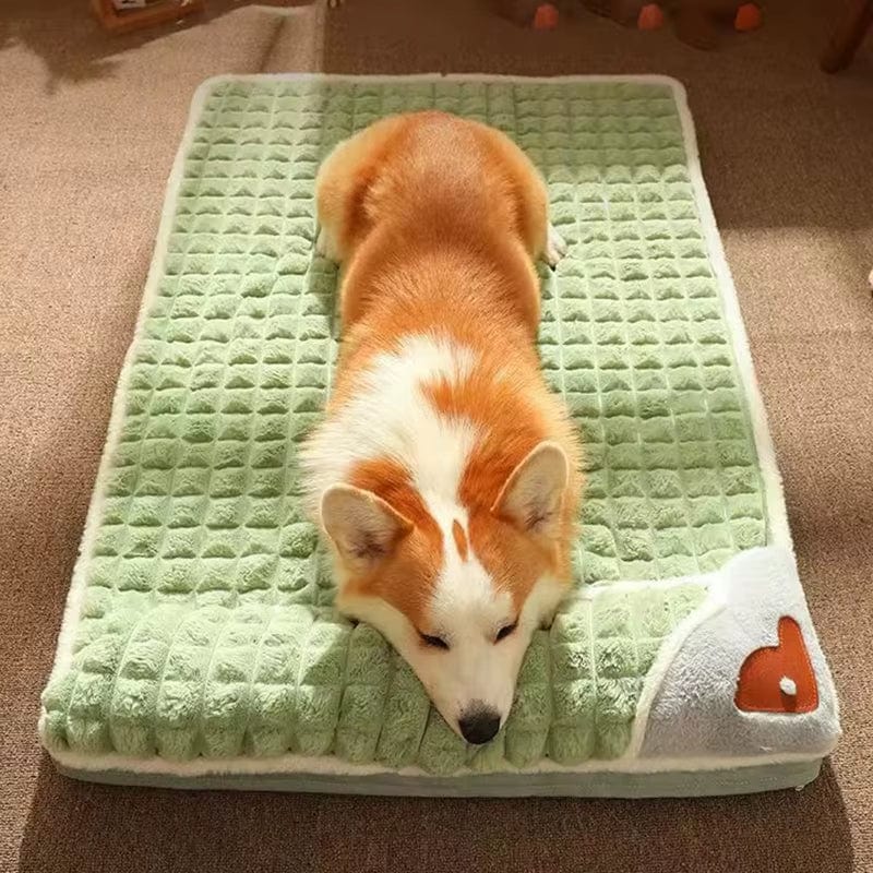 Coussin déhoussable chien| Dreamy Sloth®