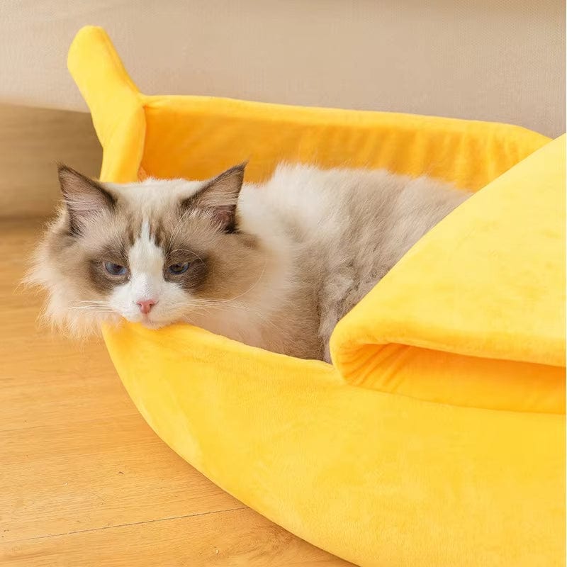 Coussin pour chat| Dreamy Sloth®