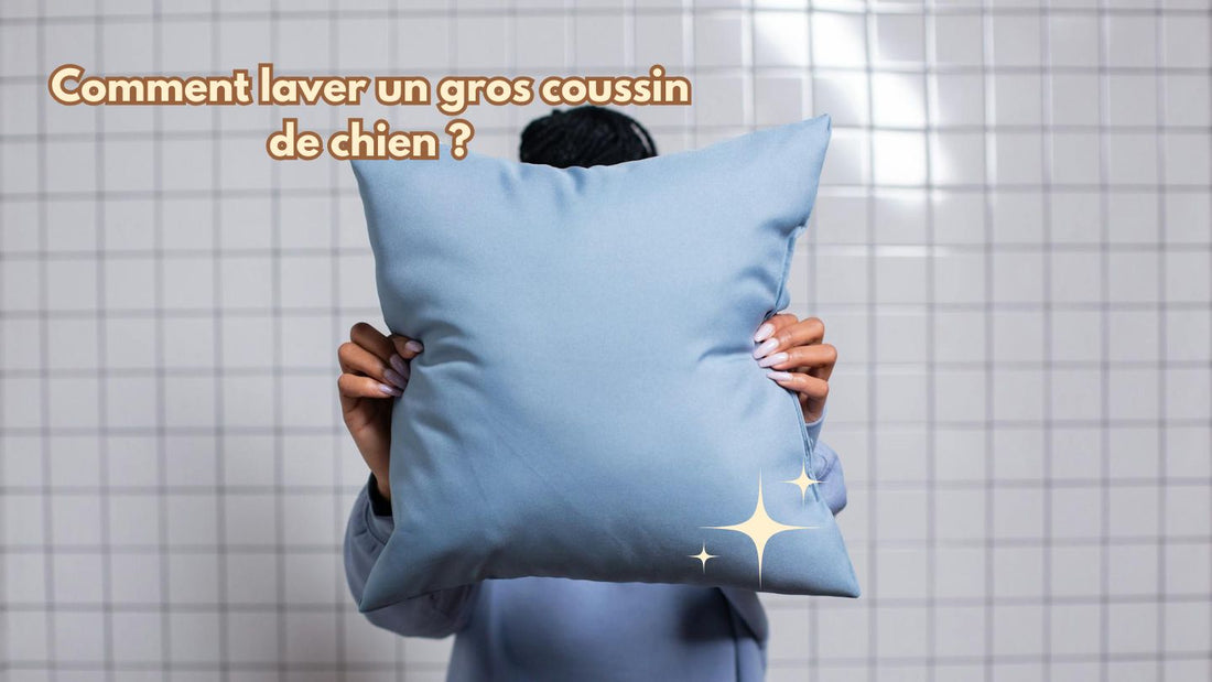 Comment laver un gros coussin de chien ?