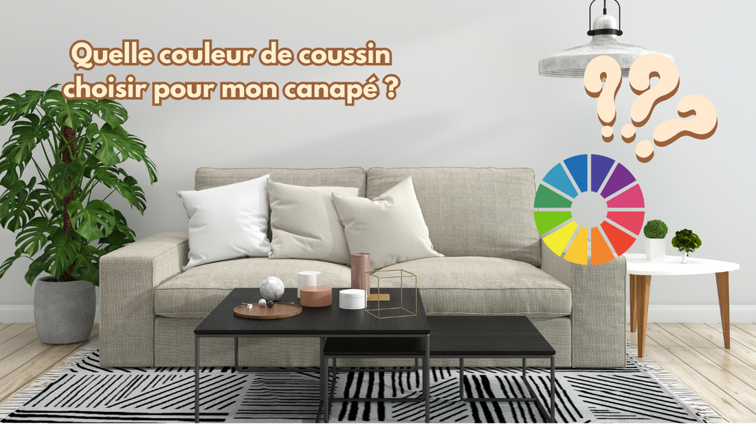 Quelle couleur de coussin choisir pour mon canapé ?