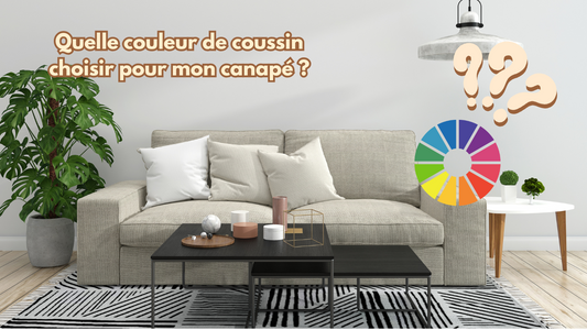 Quelle couleur de coussin choisir pour mon canapé ?