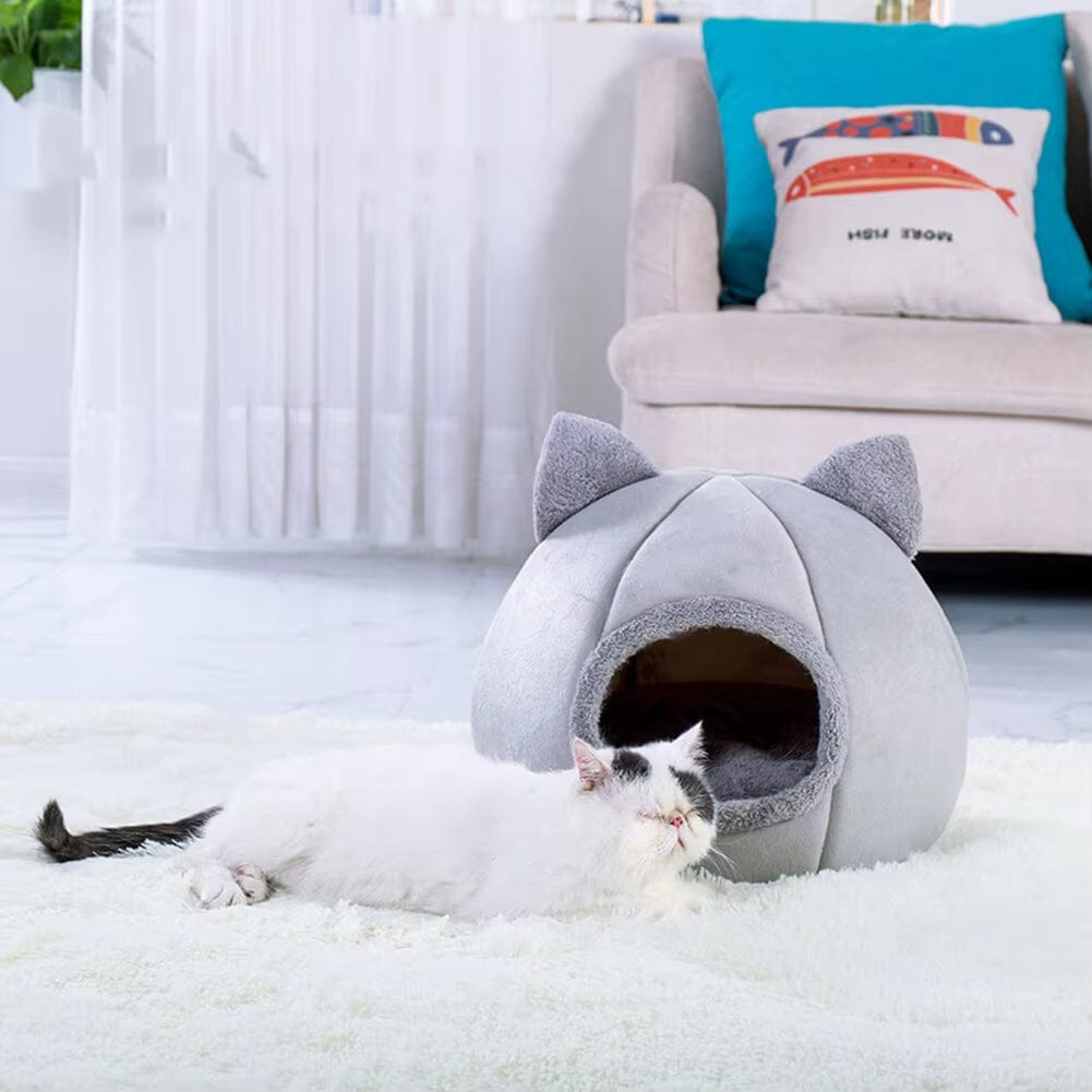 Coussin anti anxiete chat | Dreamy Sloth®