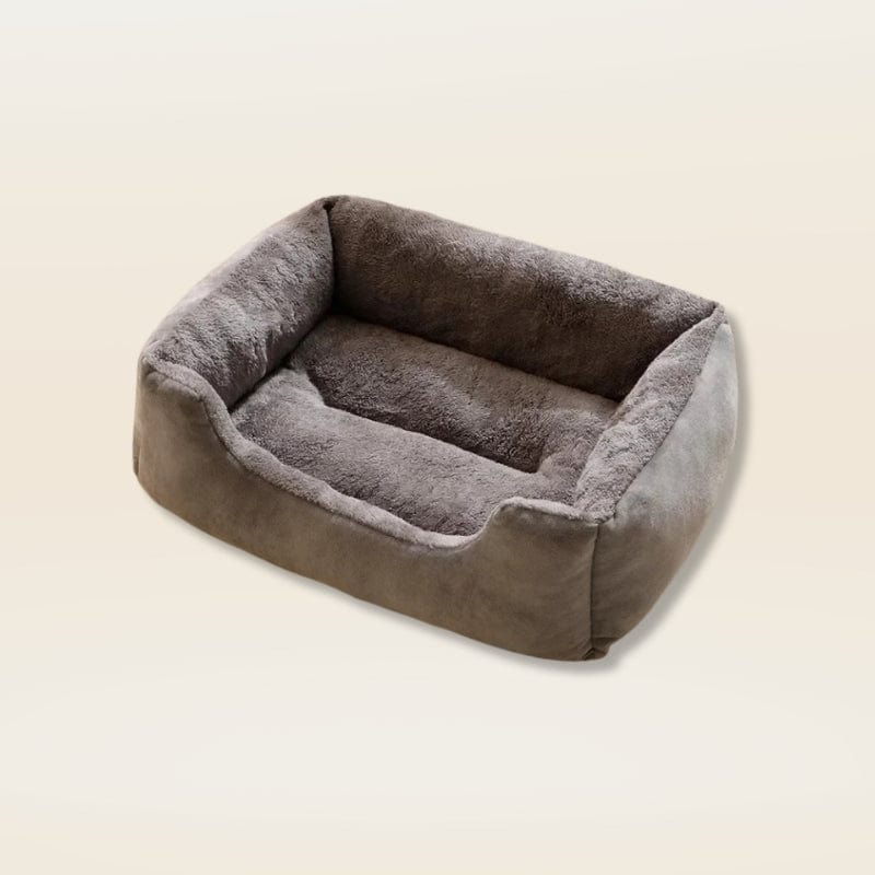 Coussin anti stress chat| Dreamy Sloth® Gris / M (50x40cm)