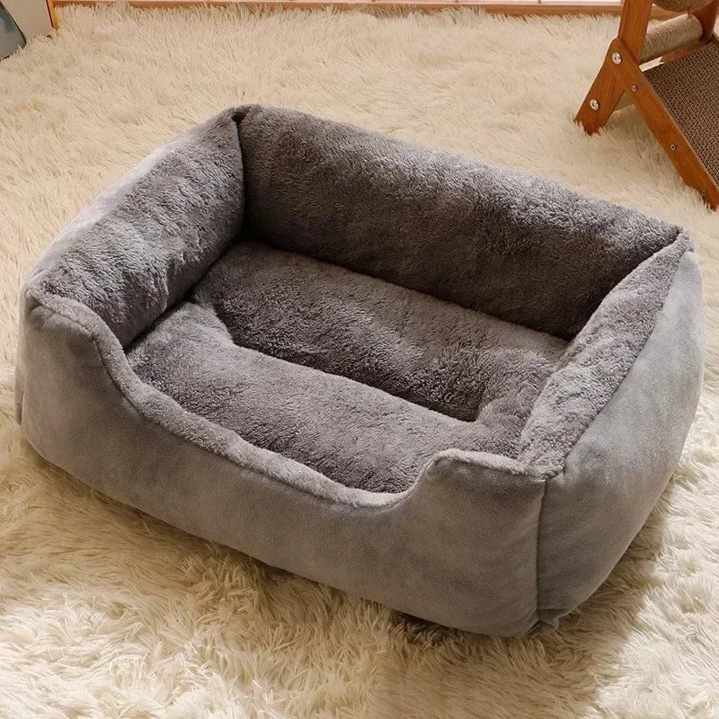Coussin anti stress chat| Dreamy Sloth® Gris / M (50x40cm)