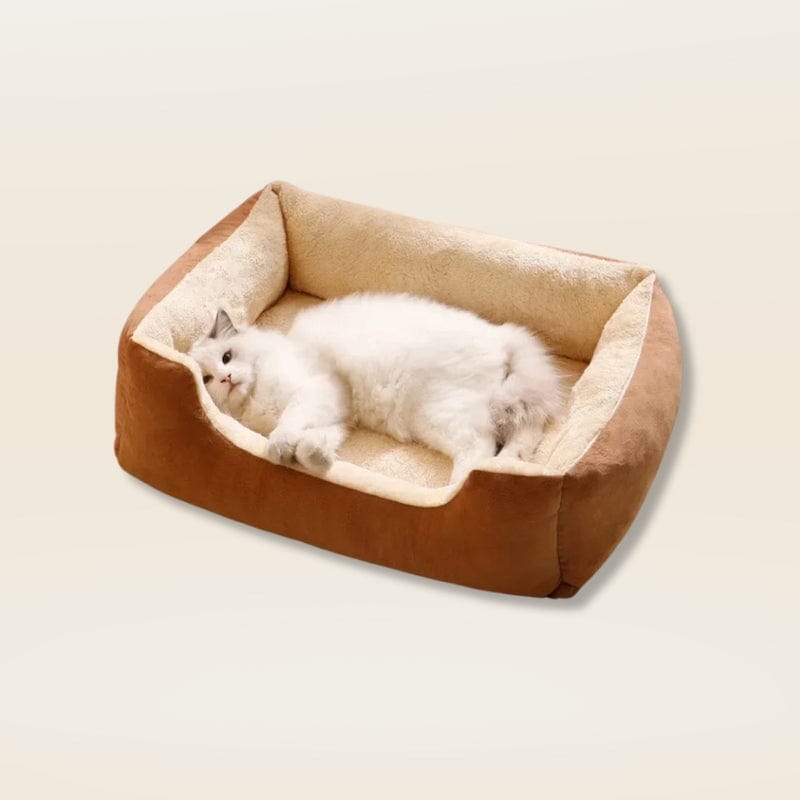 Coussin anti stress chat| Dreamy Sloth® Marron / M (50x40cm)