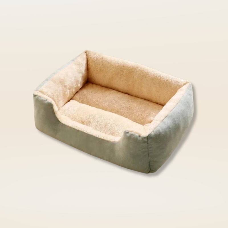 Coussin anti stress chat| Dreamy Sloth® Vert / M (50x40cm)