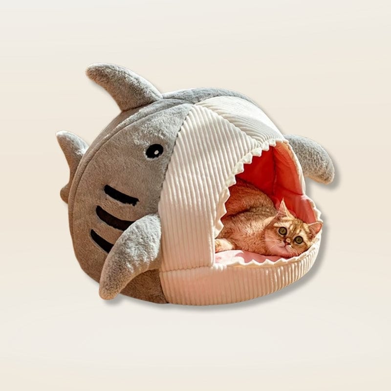 Coussin chat kawaii | Dreamy Sloth® Gris / S (38x35cm)